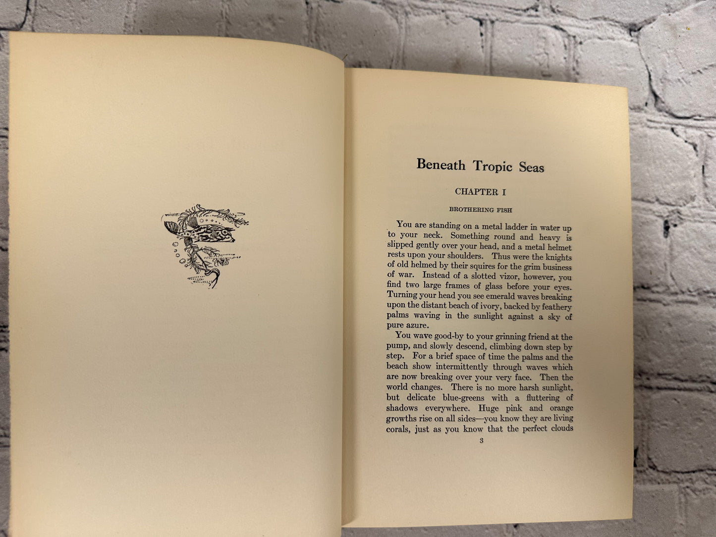 Beneath Tropic Seas by William Beebe [1928 · First Edition]