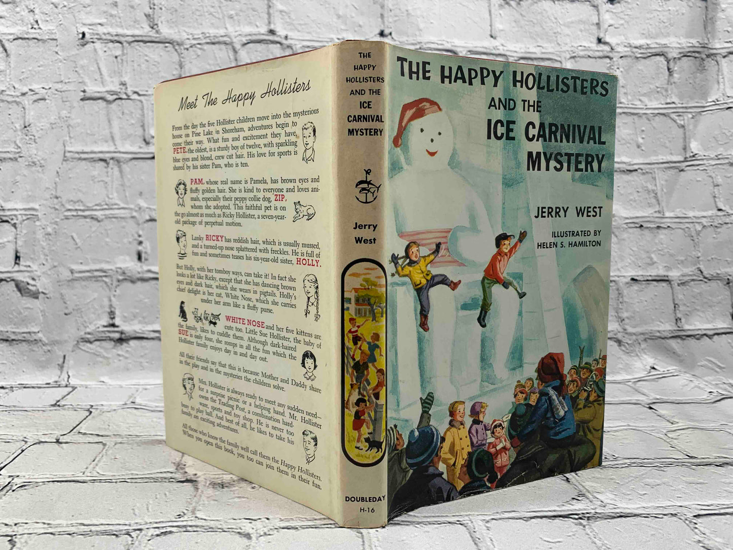 The Happy Hollisters (11 Book Set)