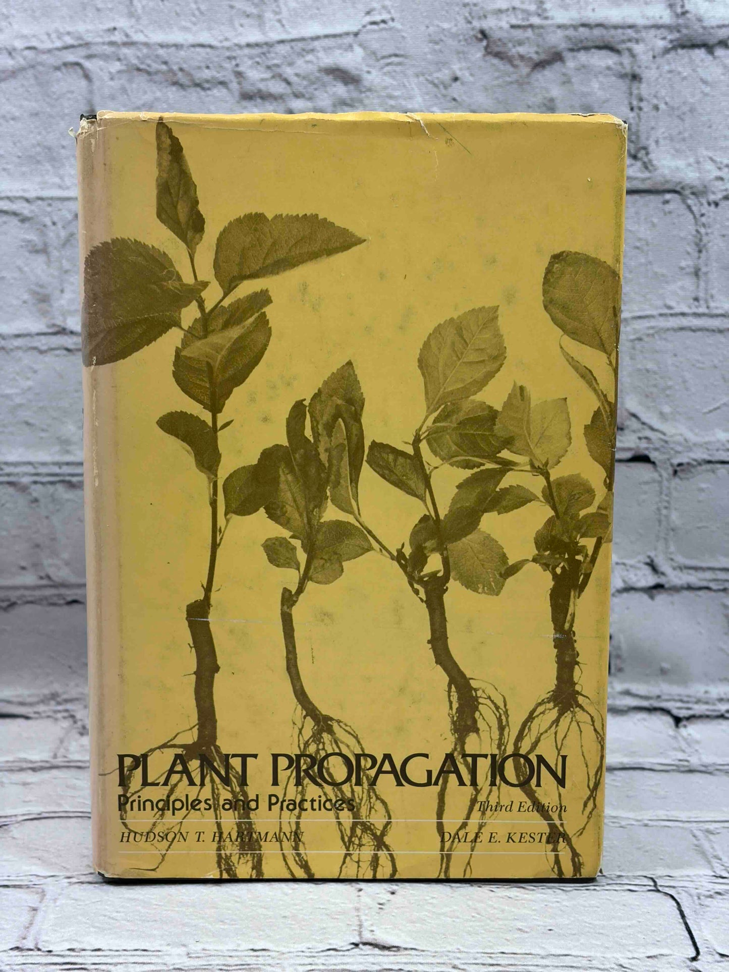 Plant Propagation: Principles and Practices