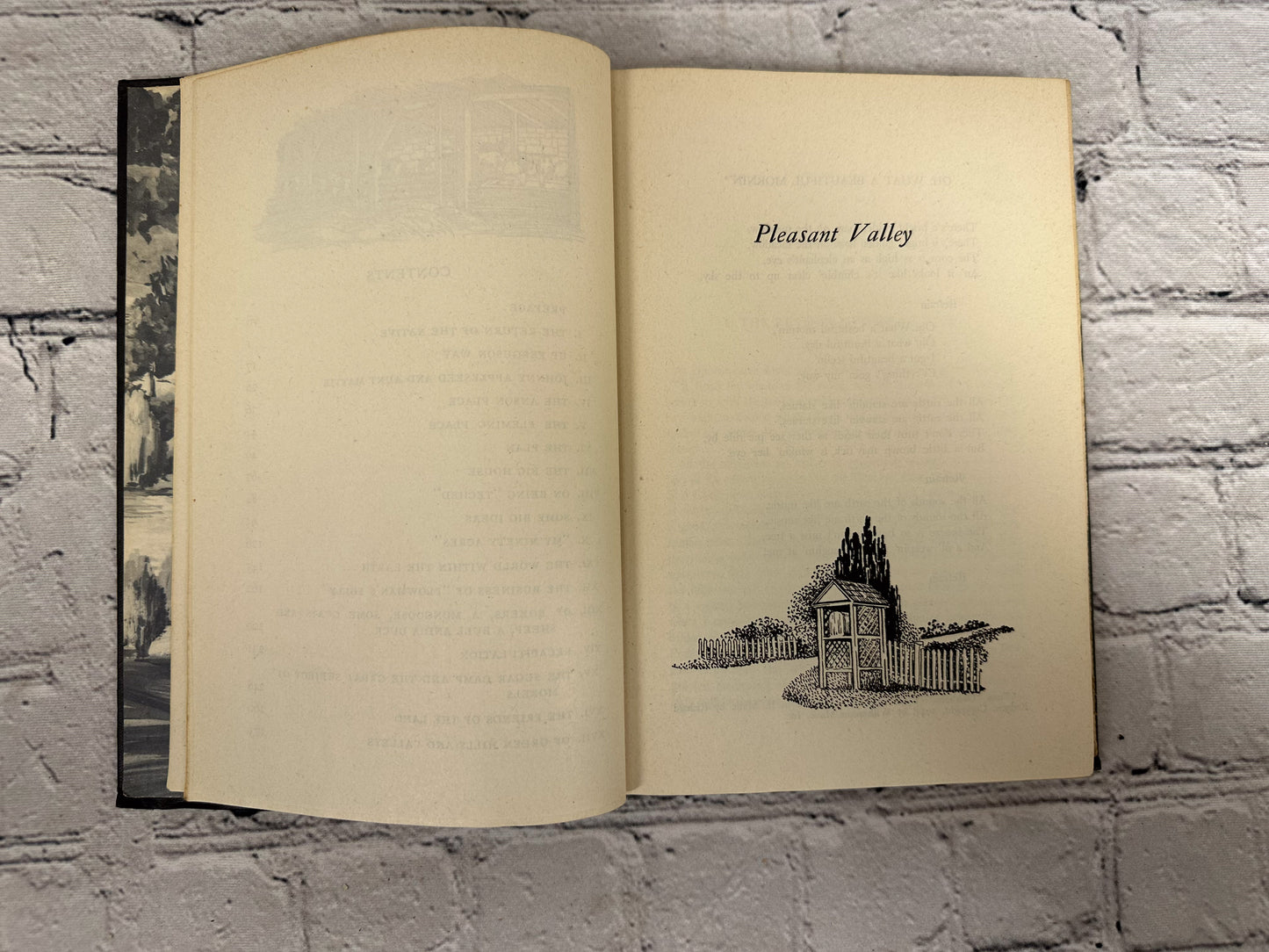 Pleasant Valley by Louis Bromfield [1945 · 10th Edition]