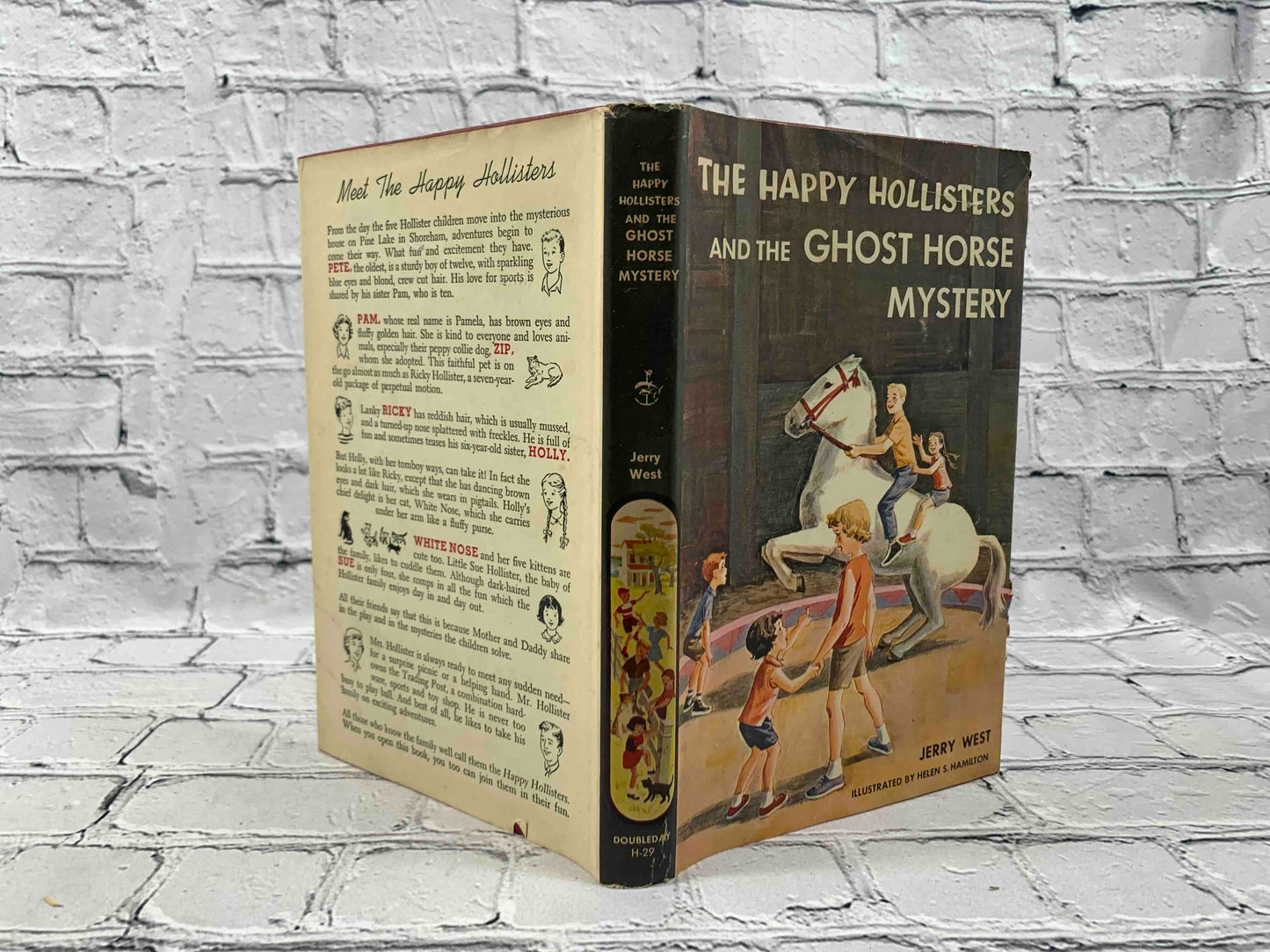 The Happy Hollisters (11 Book Set)