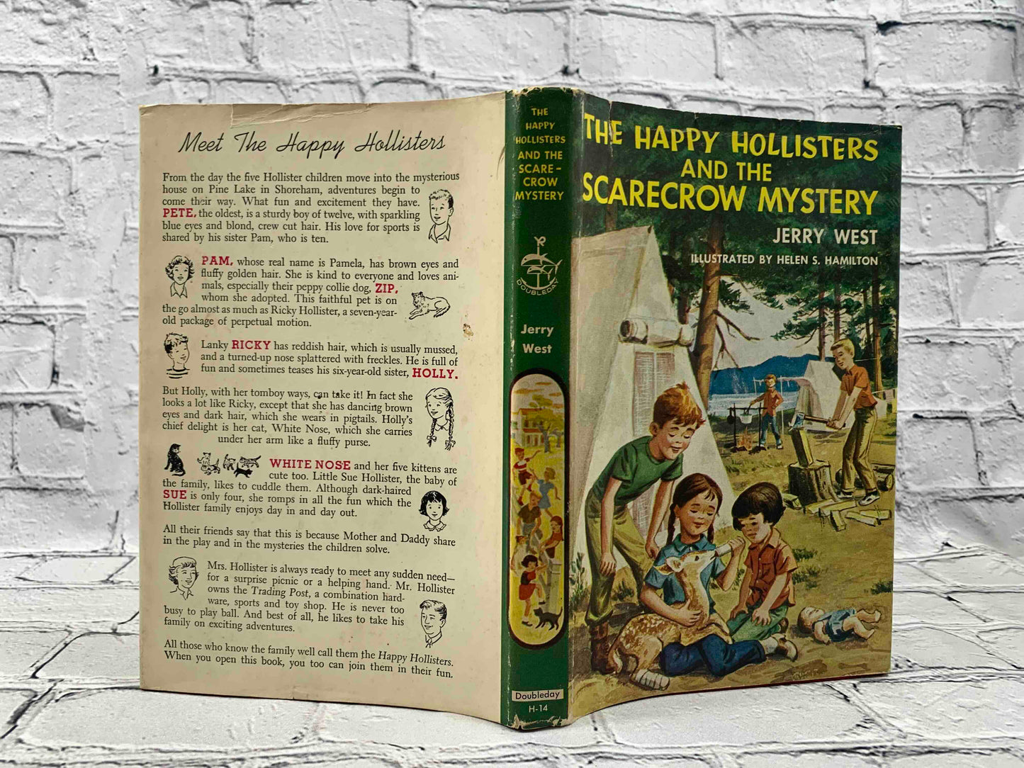 The Happy Hollisters (11 Book Set)