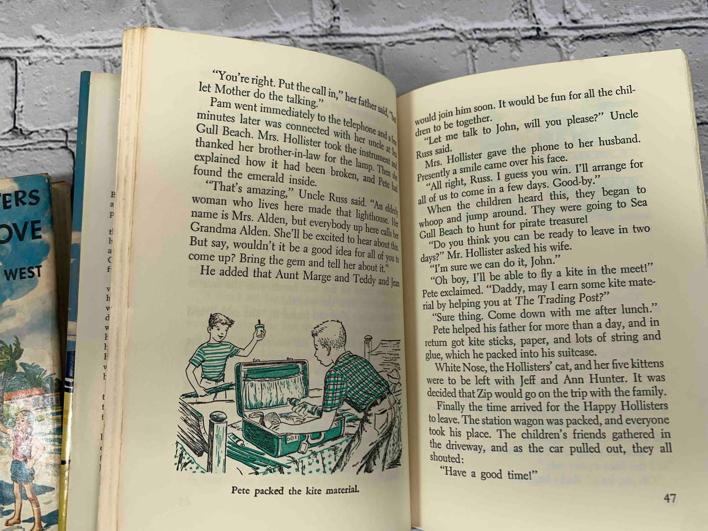 The Happy Hollisters (11 Book Set)