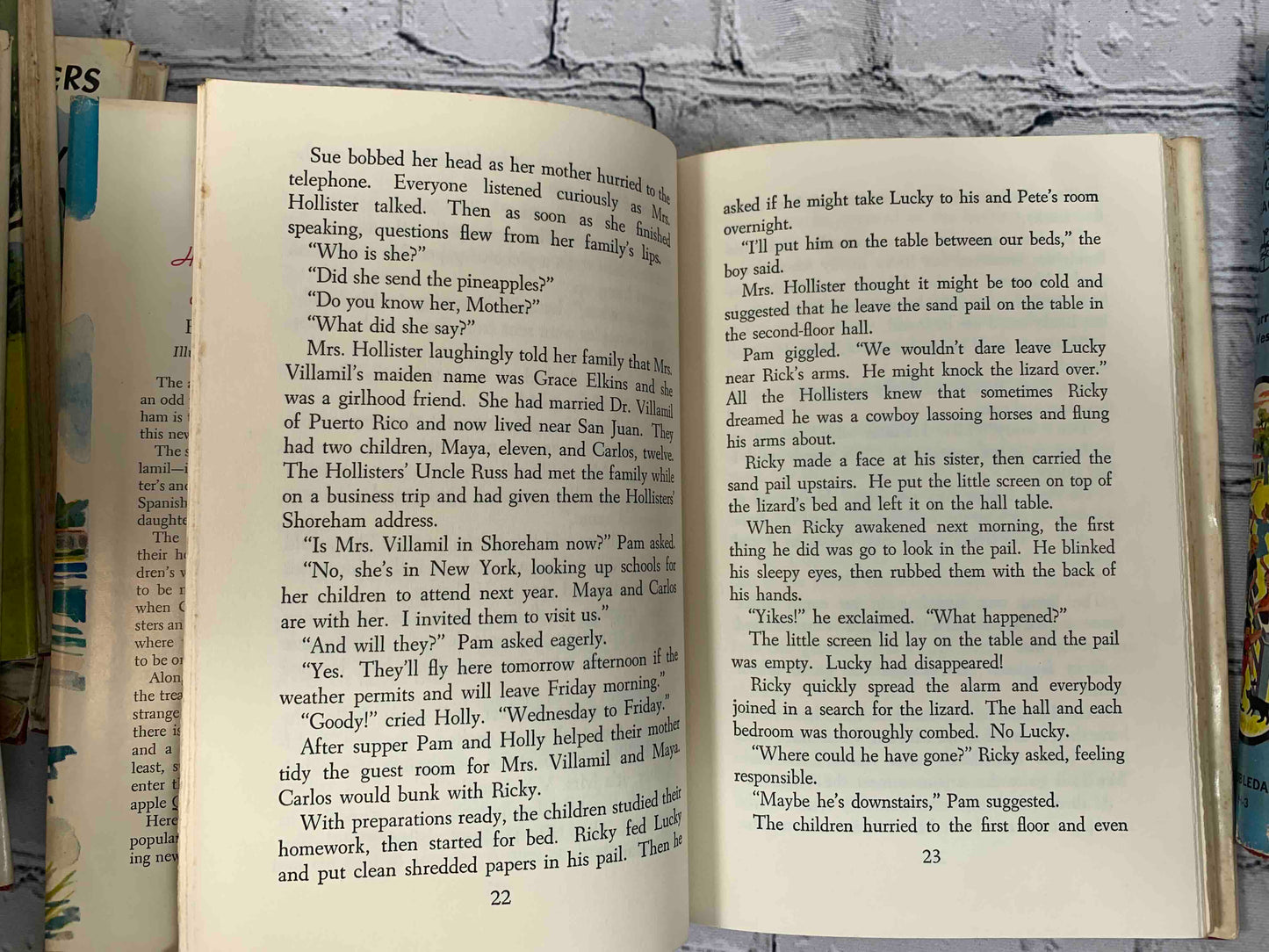 The Happy Hollisters (11 Book Set)