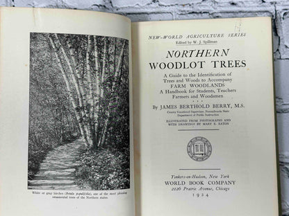 Northern Woodlot Trees