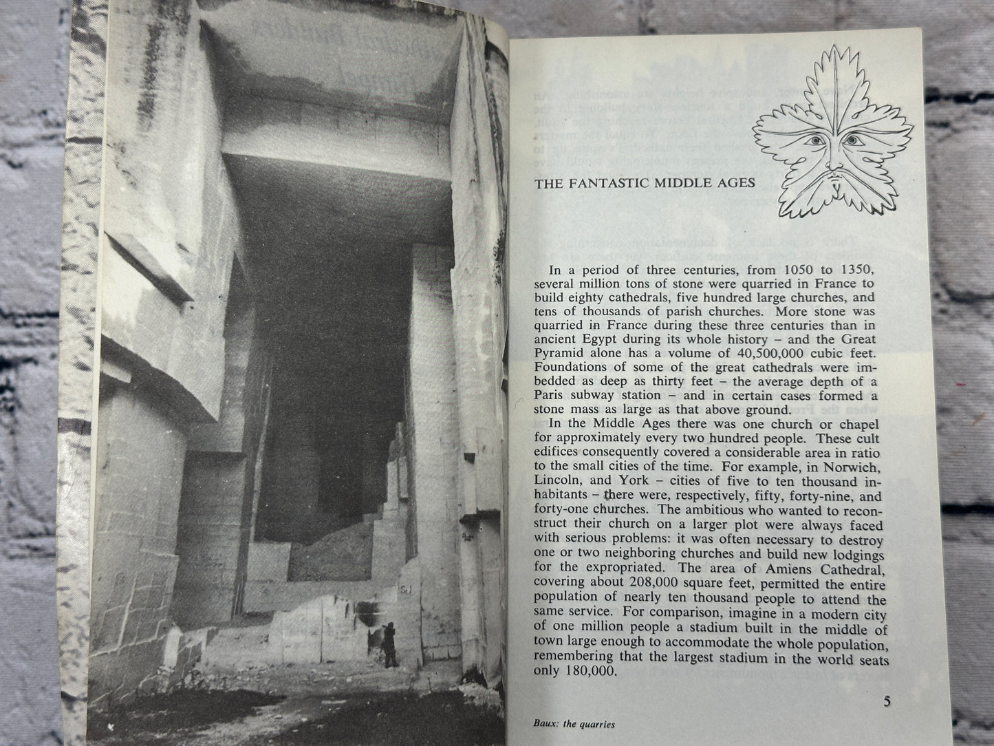 The Cathedral Builders By Jean Gimpel [1961]