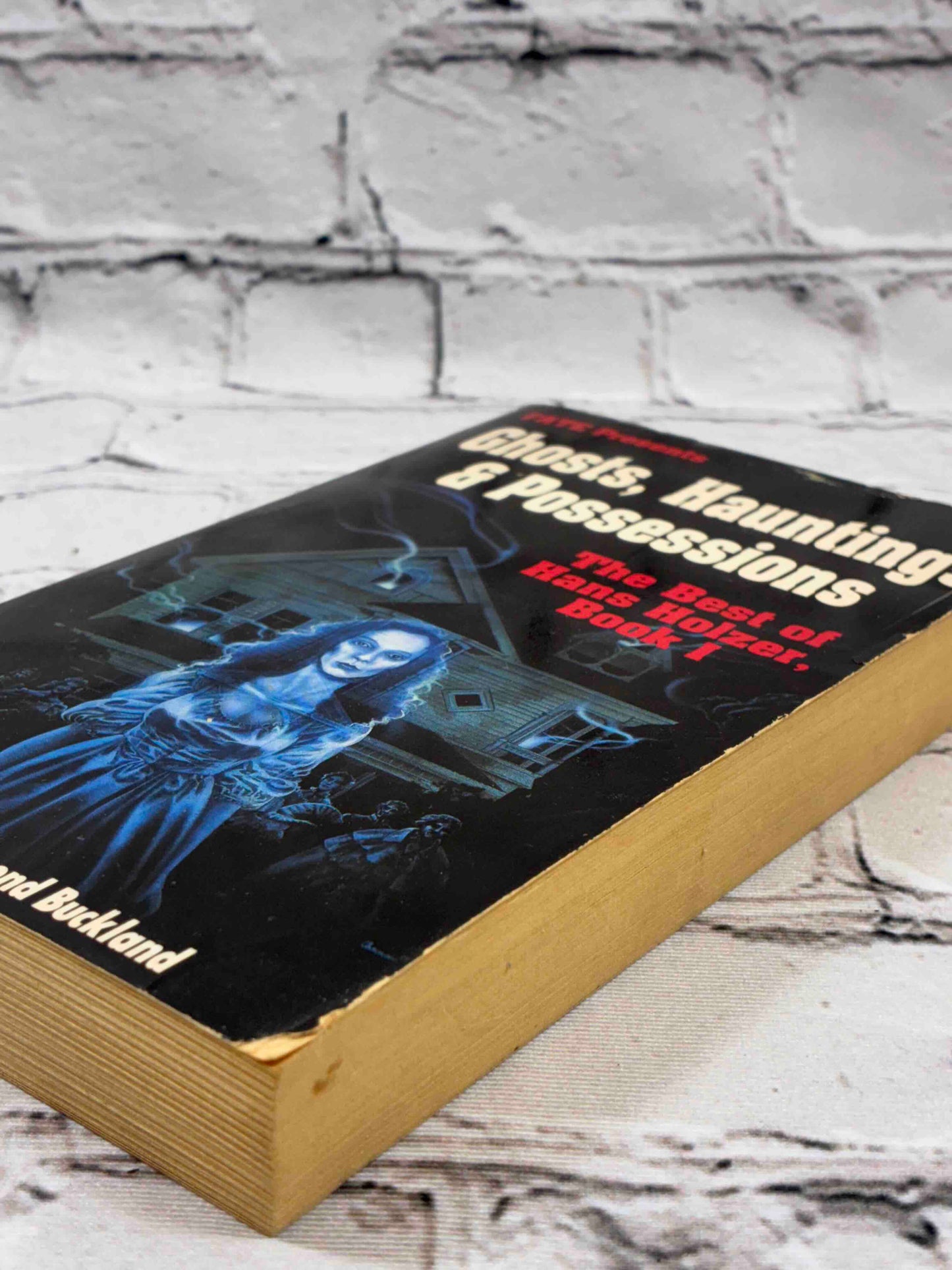 Ghosts, Hauntings and Possessions (Book 1)