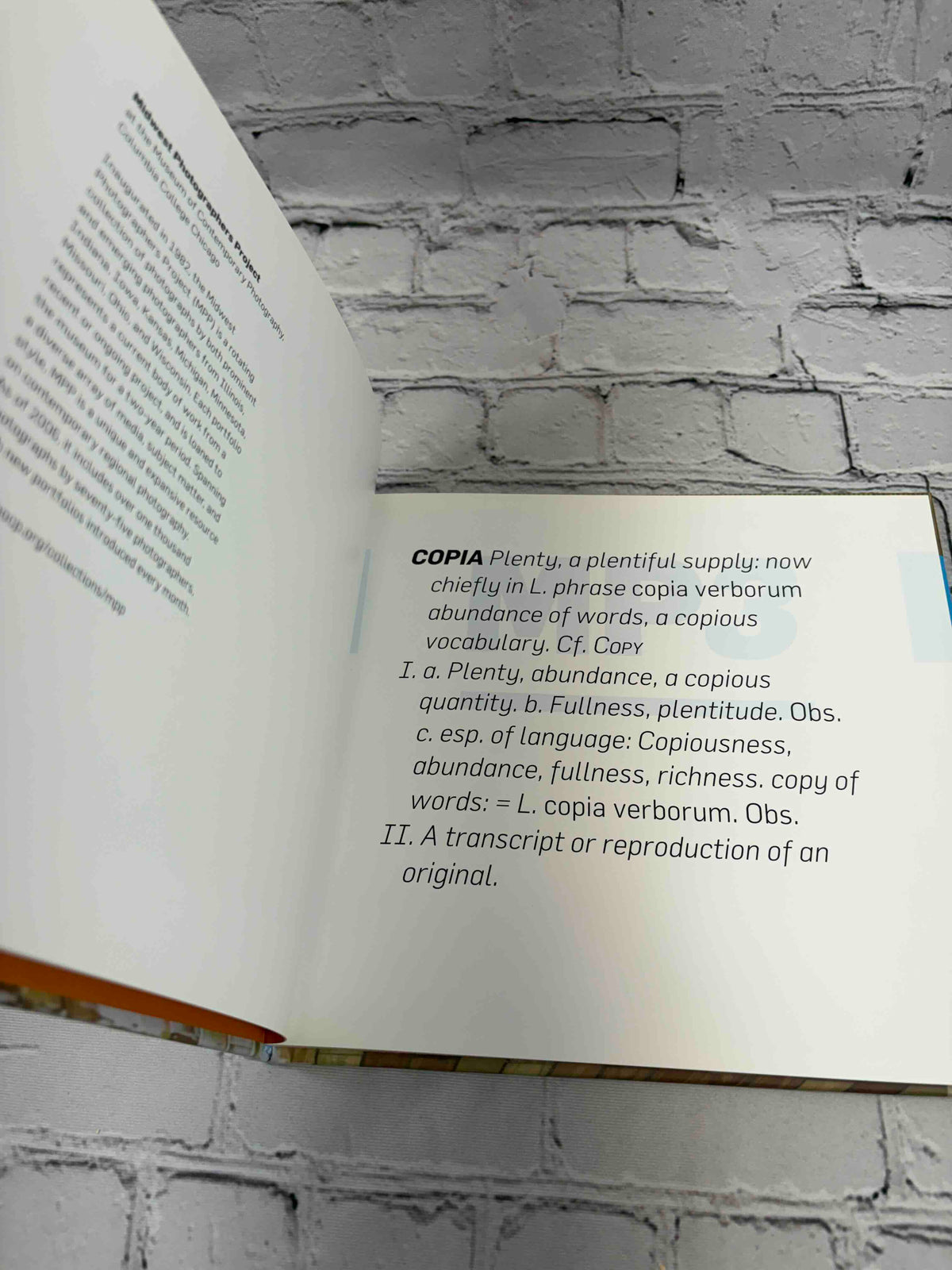 Brian Ulrich (MP3: Midwest Photographers Publication Project)