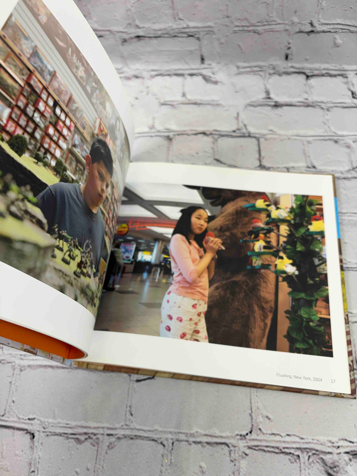 Brian Ulrich (MP3: Midwest Photographers Publication Project)