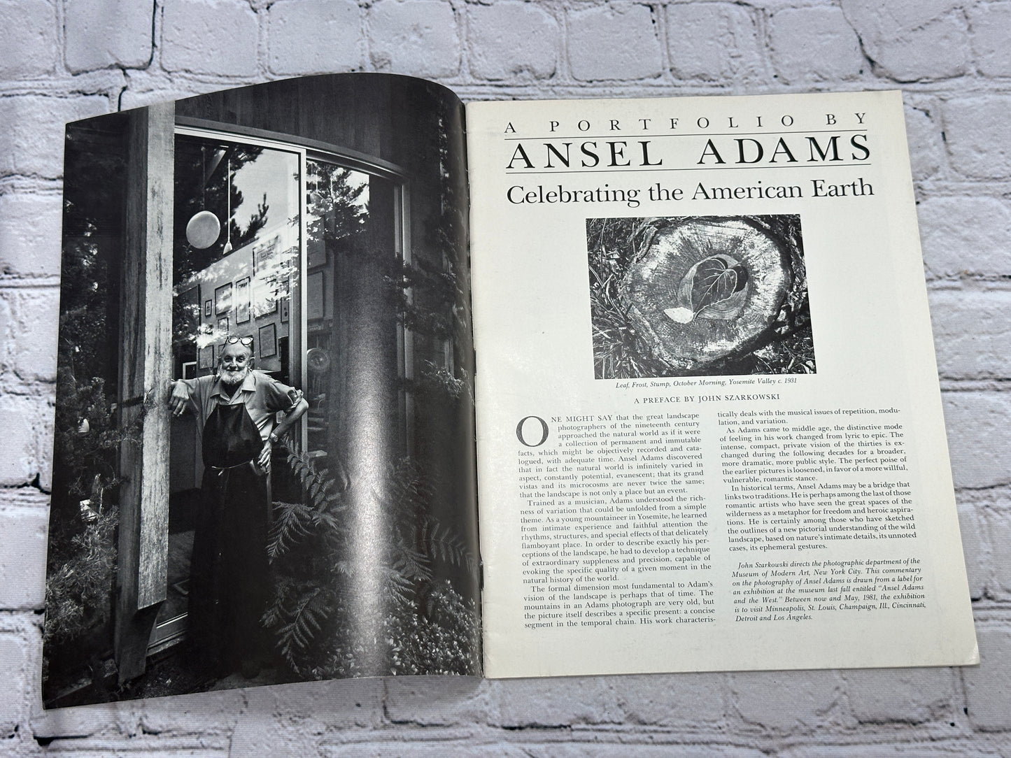 Celebrating the American Earth: A Portfolio by Ansel Adams [Wilderness Society]