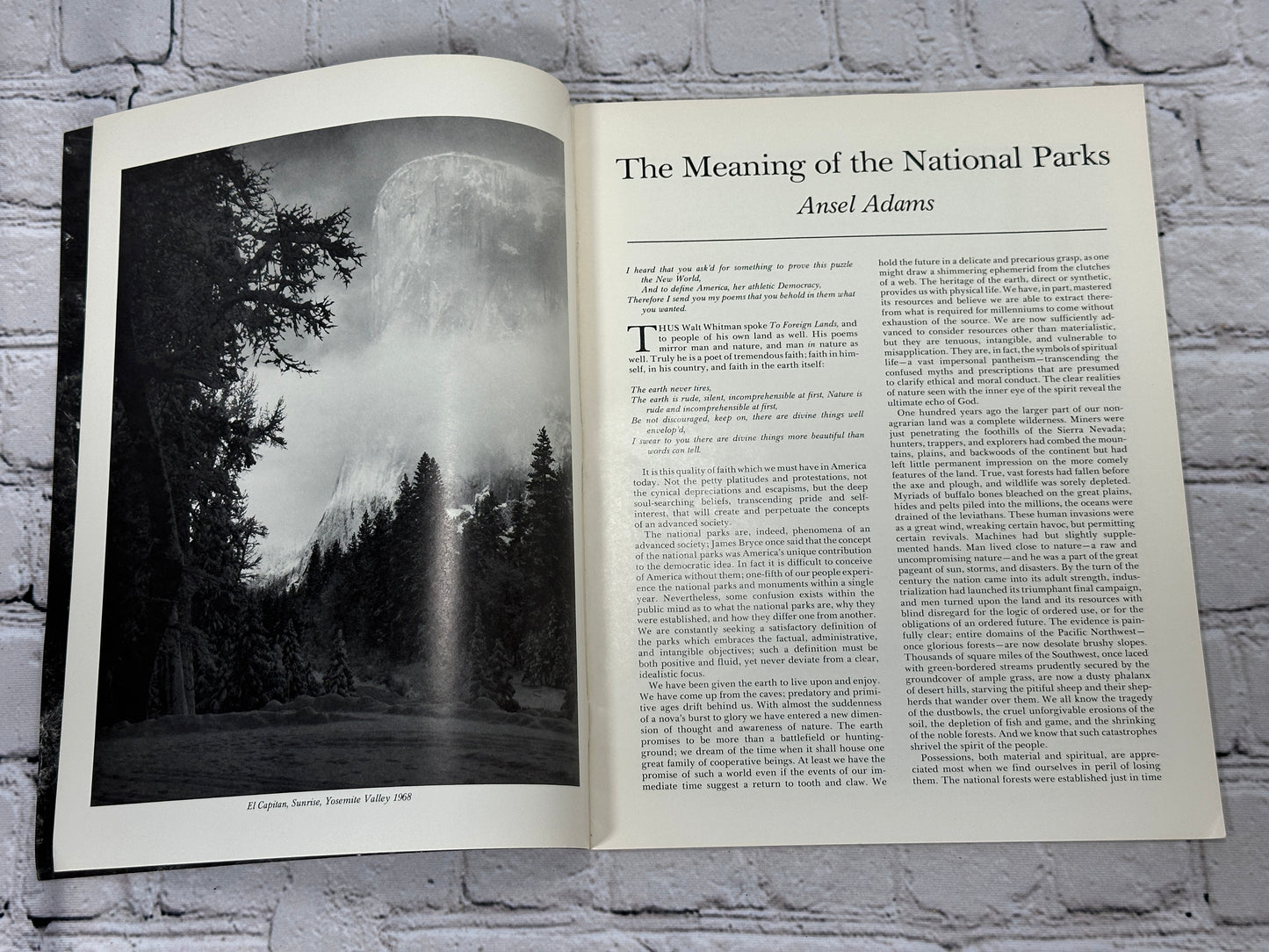 Celebrating the American Earth: A Portfolio by Ansel Adams [Wilderness Society]