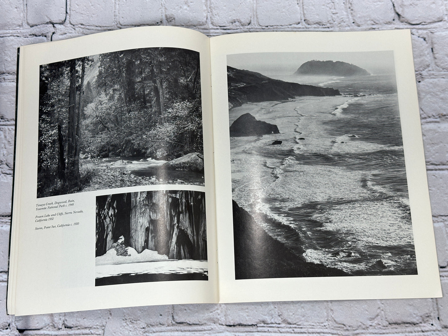 Celebrating the American Earth: A Portfolio by Ansel Adams [Wilderness Society]