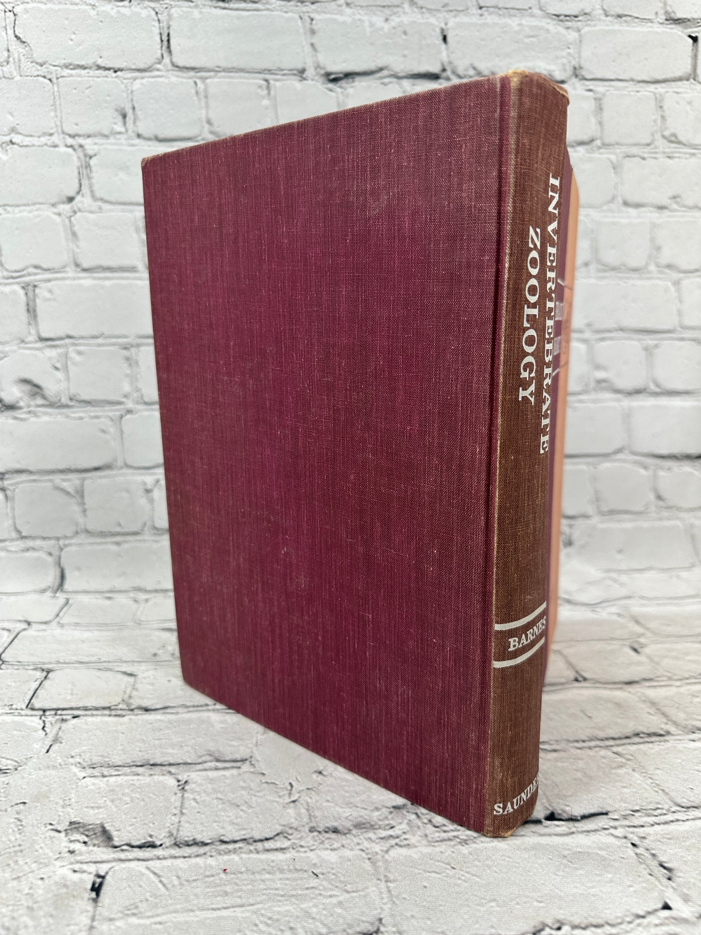 Invertebrate Zoology by Robert D. Barnes [1964 · Third Printing]