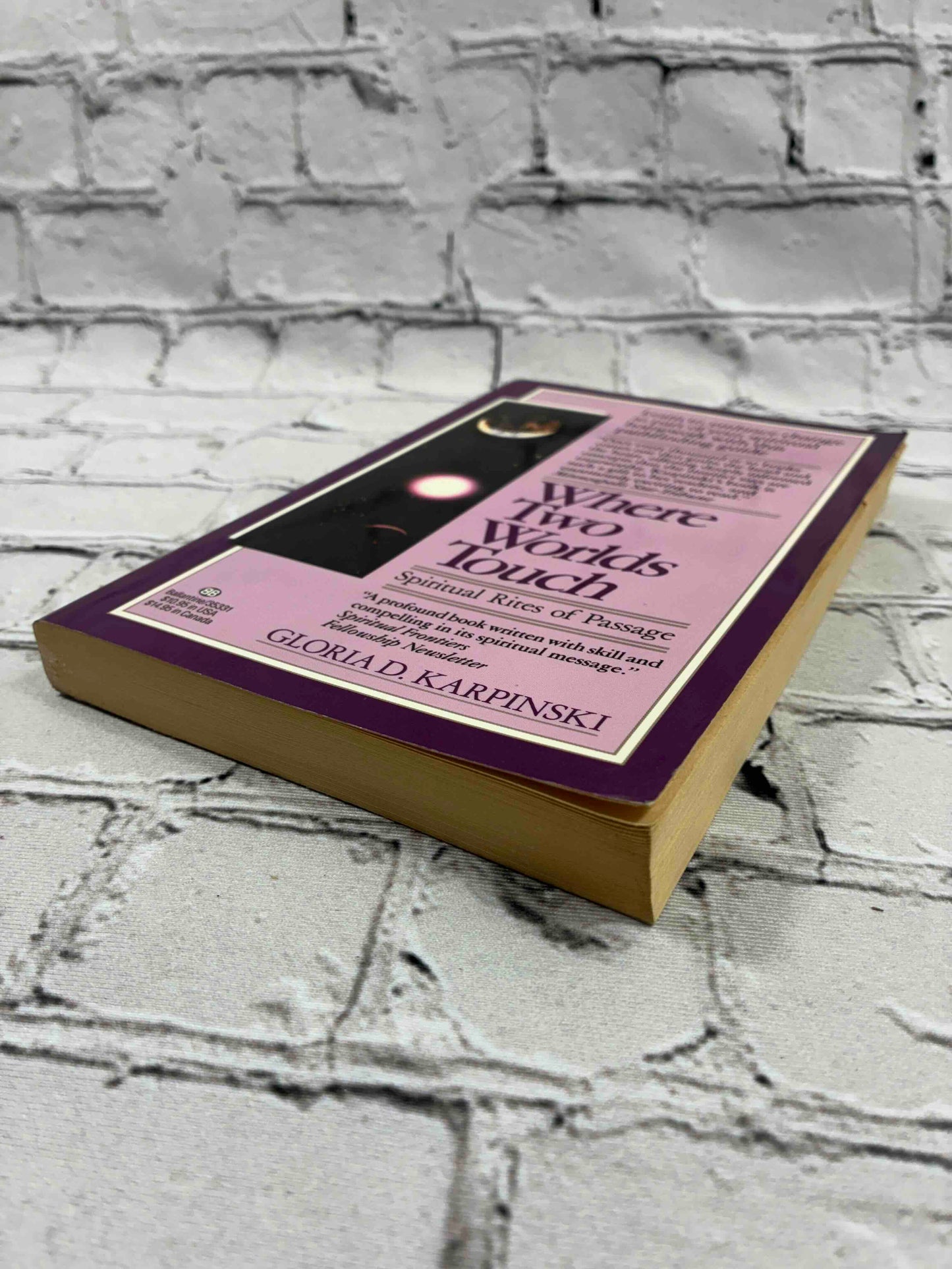 Where Two Worlds Touch: Spiritual Rites of Passage: Learn to Embrace Change as Part of Your Spiritual Homework with this PathfindingGuide