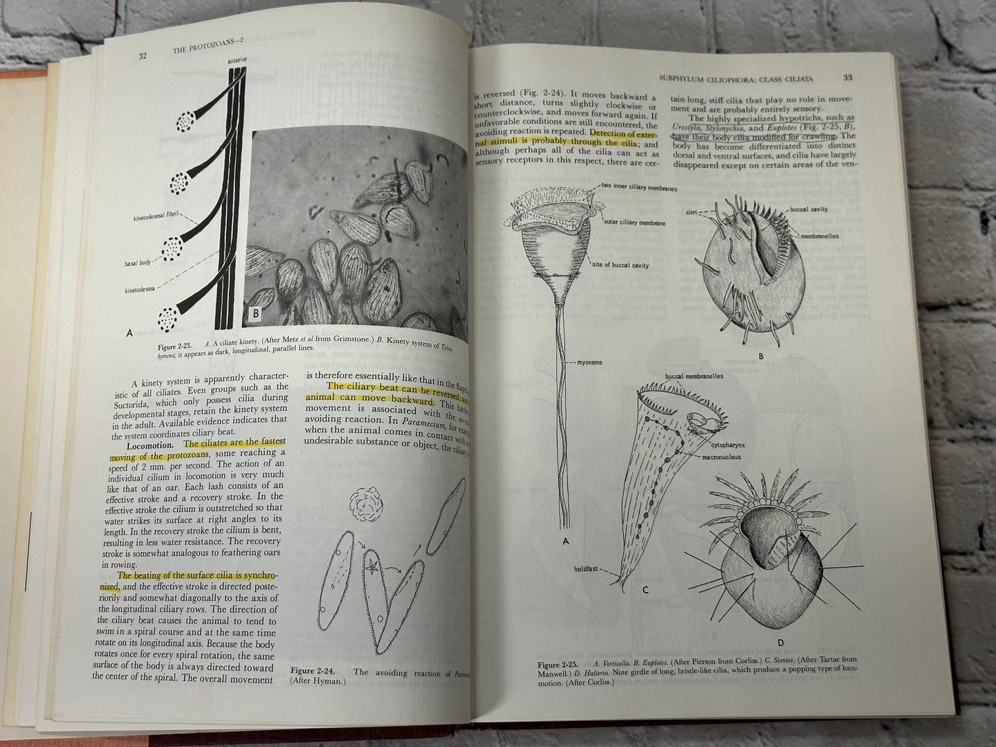 Invertebrate Zoology by Robert D. Barnes [1964 · Third Printing]