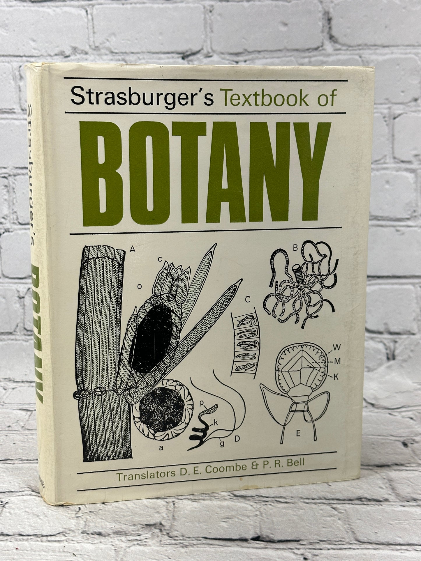 Strasburger's Text-Book of Botany by Harder, Schumacher..[1965]