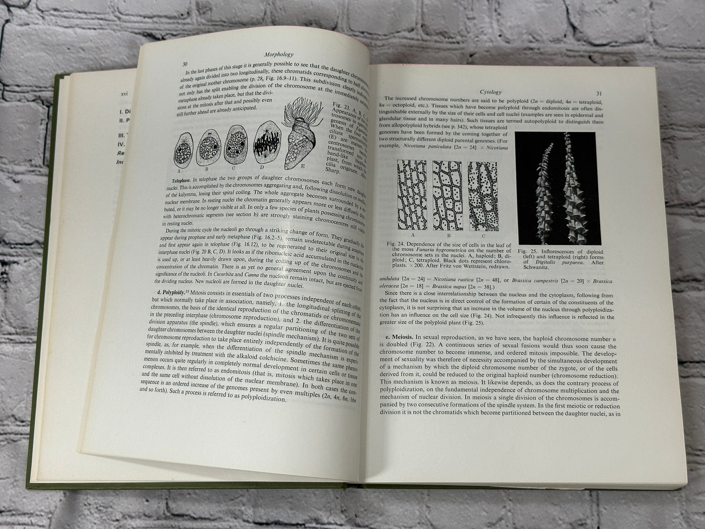 Strasburger's Text-Book of Botany by Harder, Schumacher..[1965]