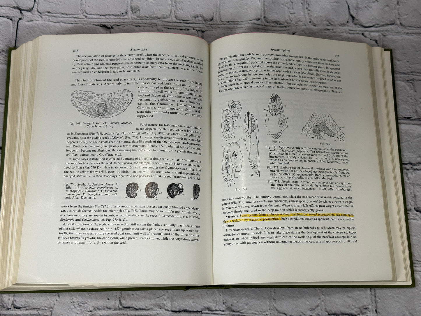 Strasburger's Text-Book of Botany by Harder, Schumacher..[1965]