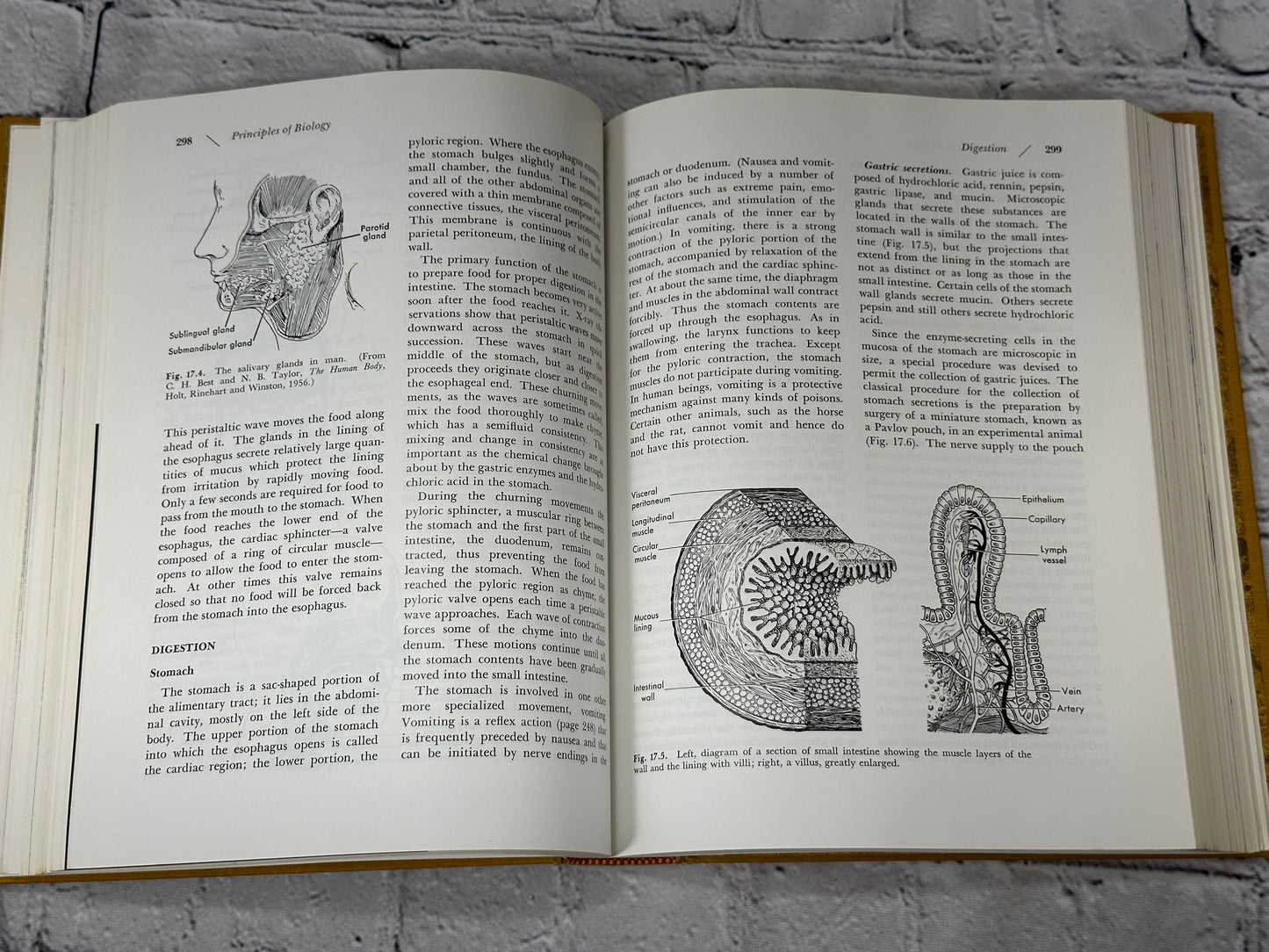 Principles Of Biology by W. Gordon Whaley et [1964 · Third Edition]