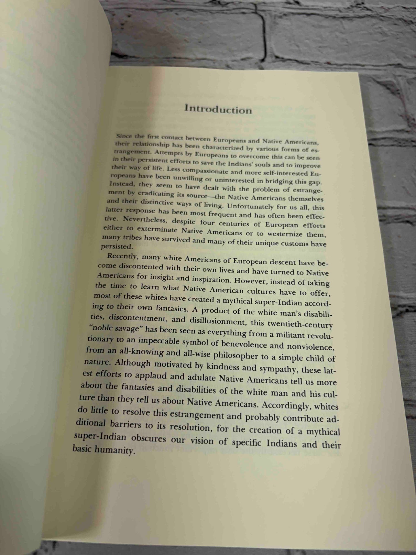 Language and Art in the Navajo Universe