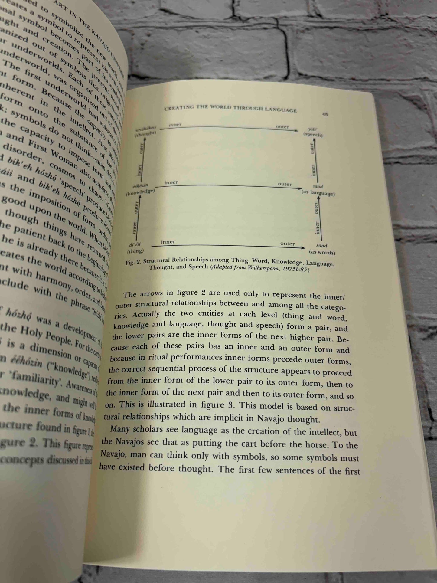 Language and Art in the Navajo Universe