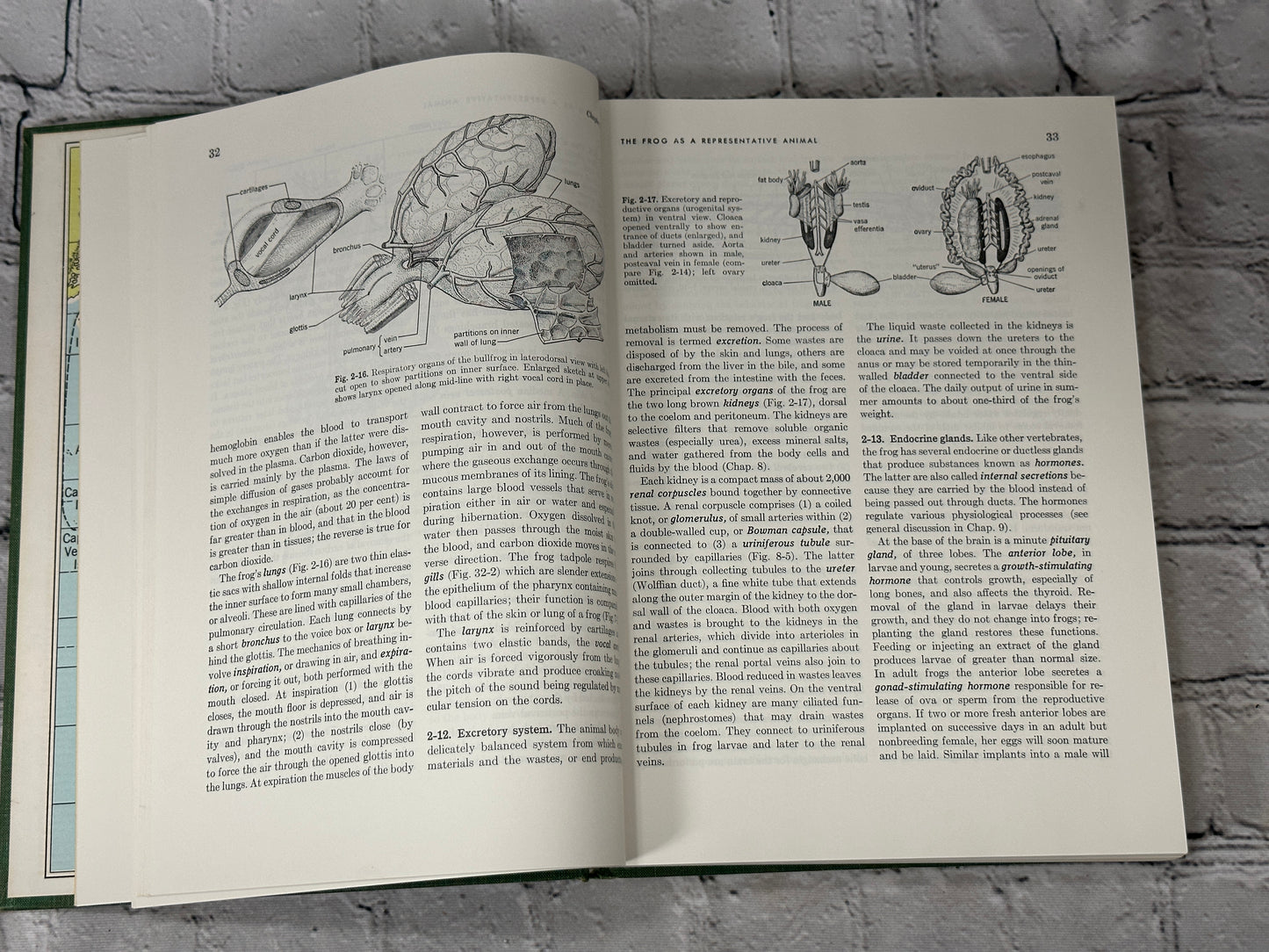 General Zoology by Storer and Usinger [1957 · Third Edition]