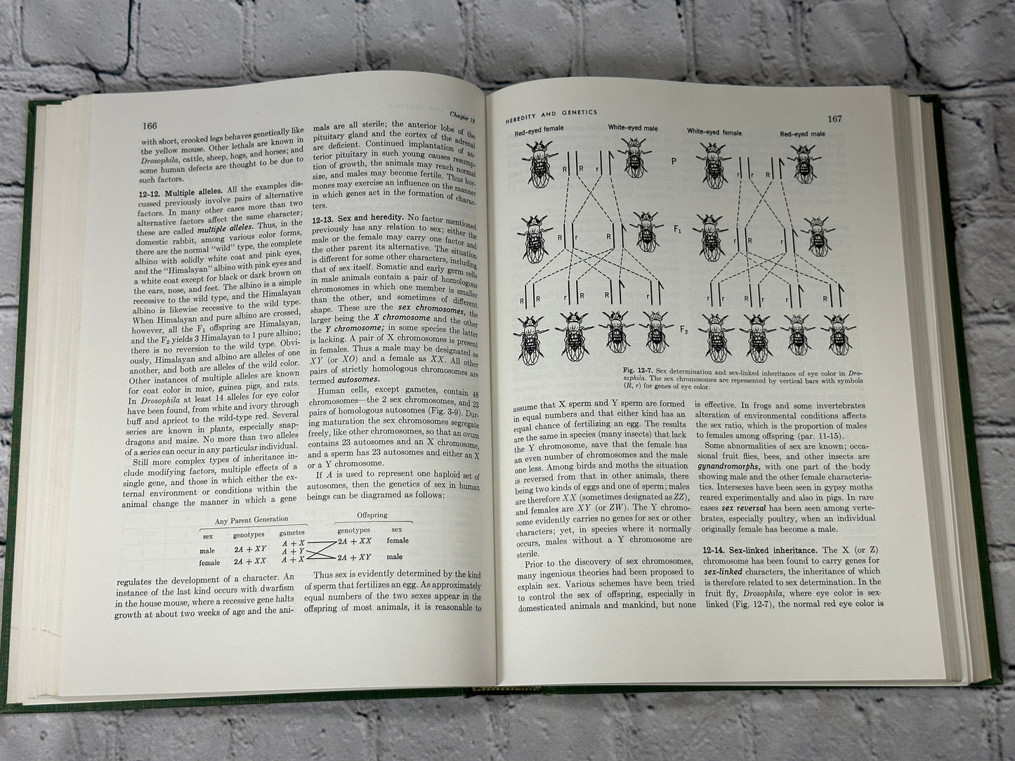 General Zoology by Storer and Usinger [1957 · Third Edition]