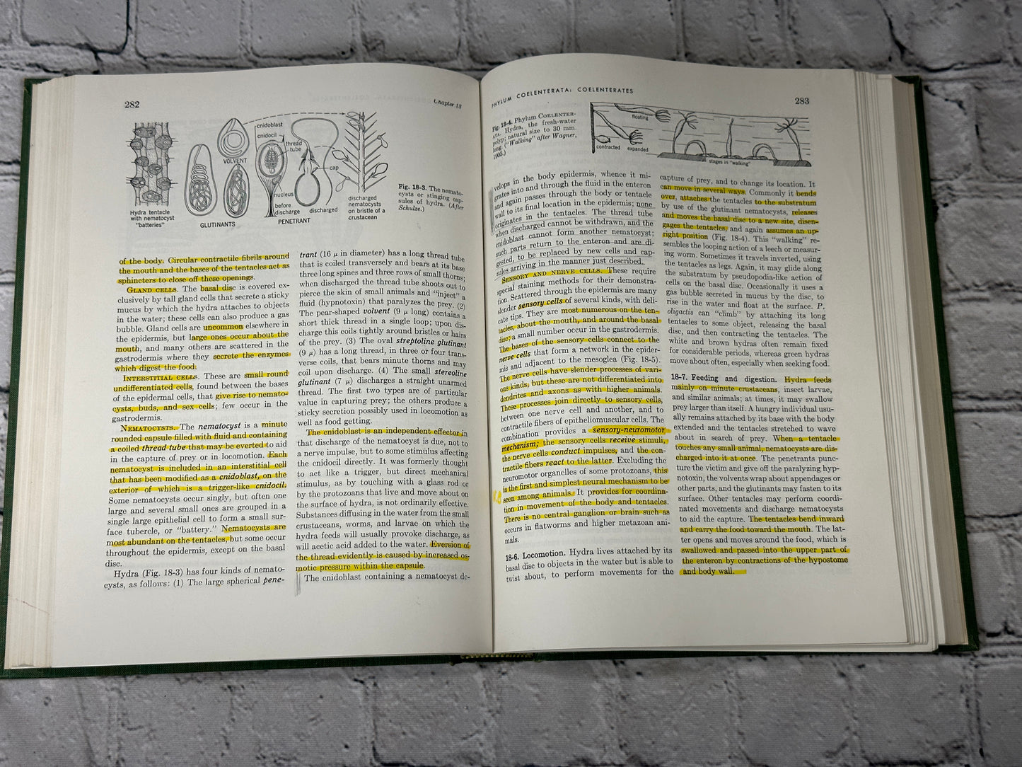 General Zoology by Storer and Usinger [1957 · Third Edition]