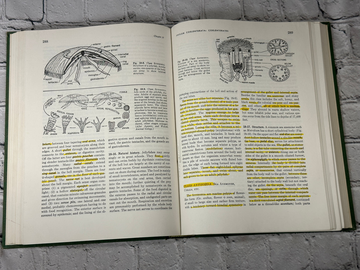 General Zoology by Storer and Usinger [1957 · Third Edition]