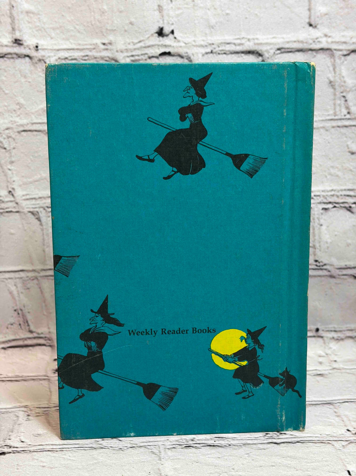 The Blue-Nosed Witch