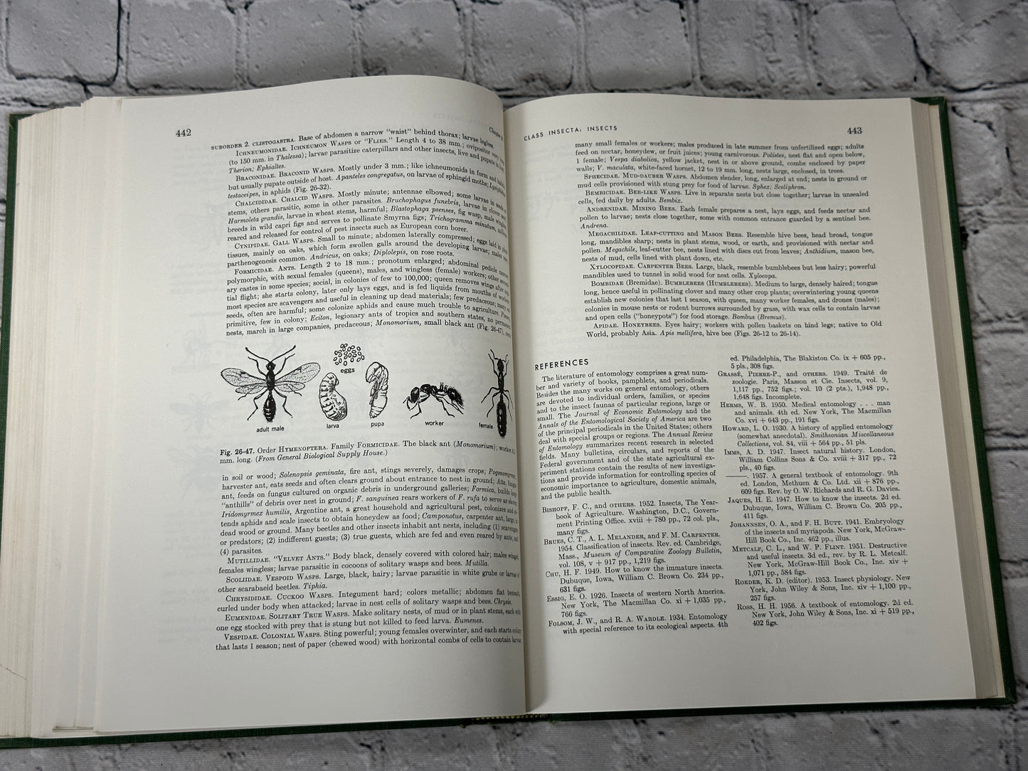 General Zoology by Storer and Usinger [1957 · Third Edition]