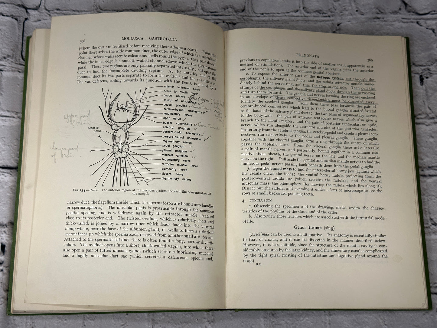 Practical Invertebrate Anatomy by William S. Bullough  [1964]