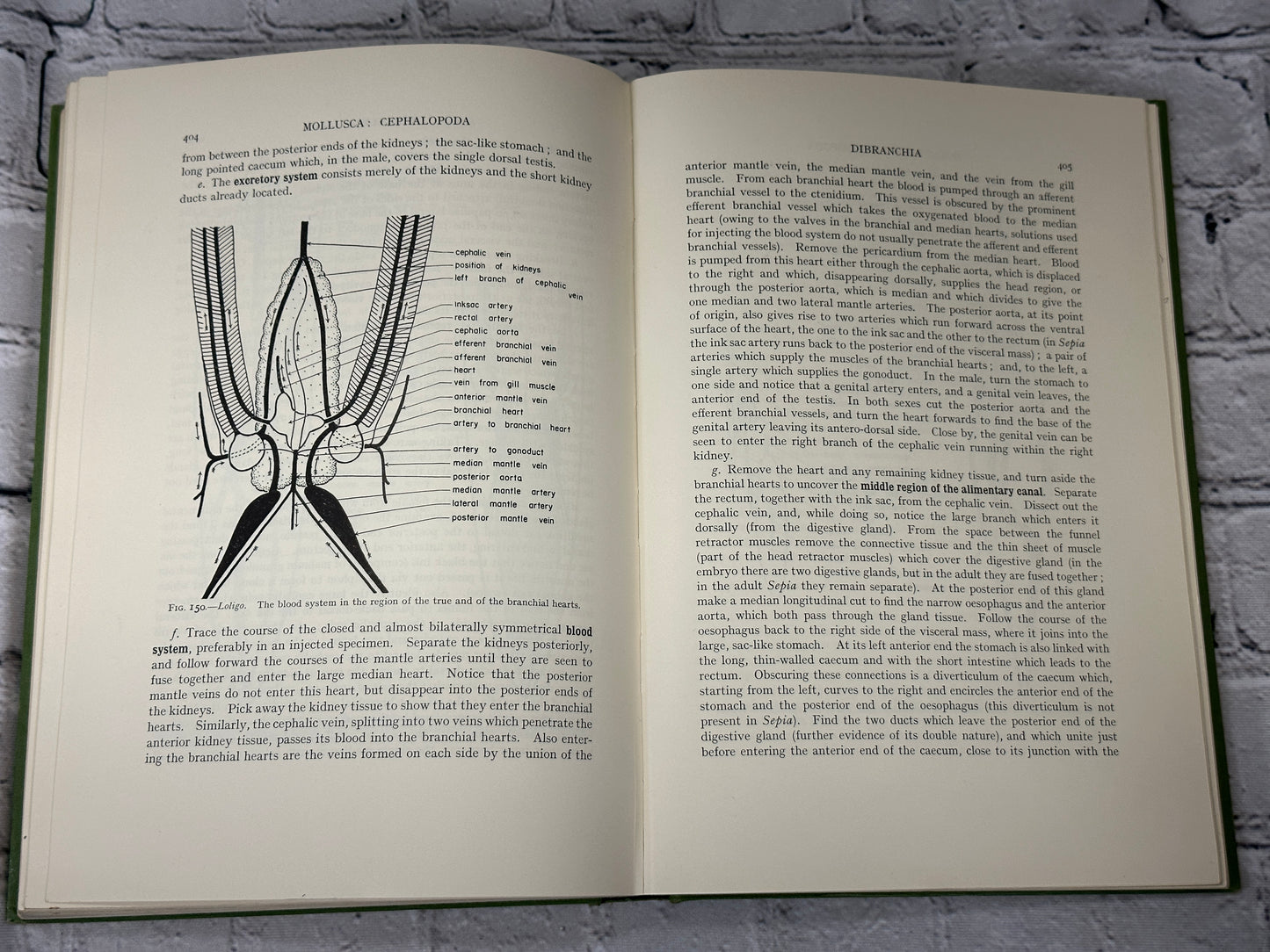 Practical Invertebrate Anatomy by William S. Bullough  [1964]