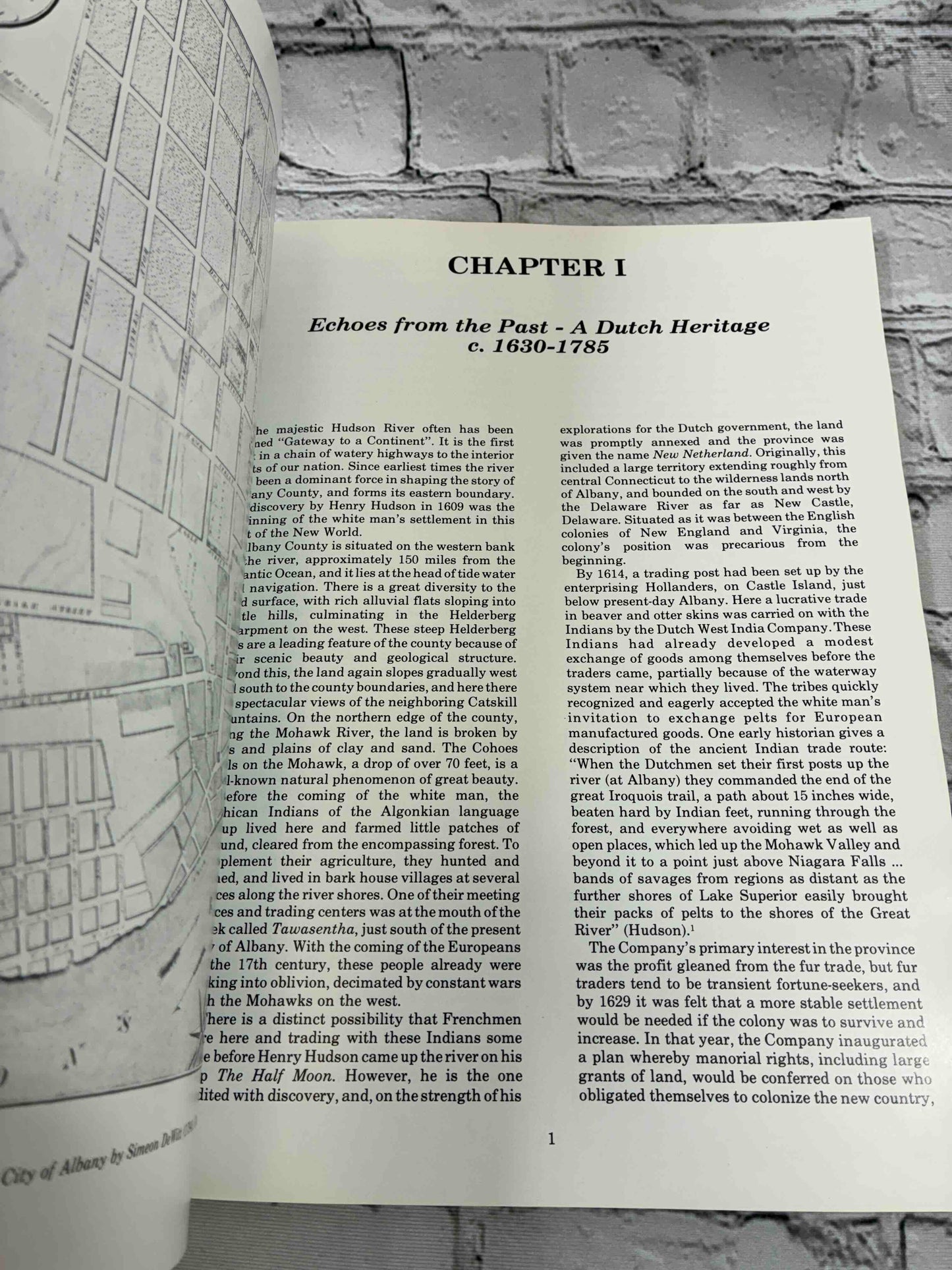 The People's Choice: The History of Albany County in Art and Architecture