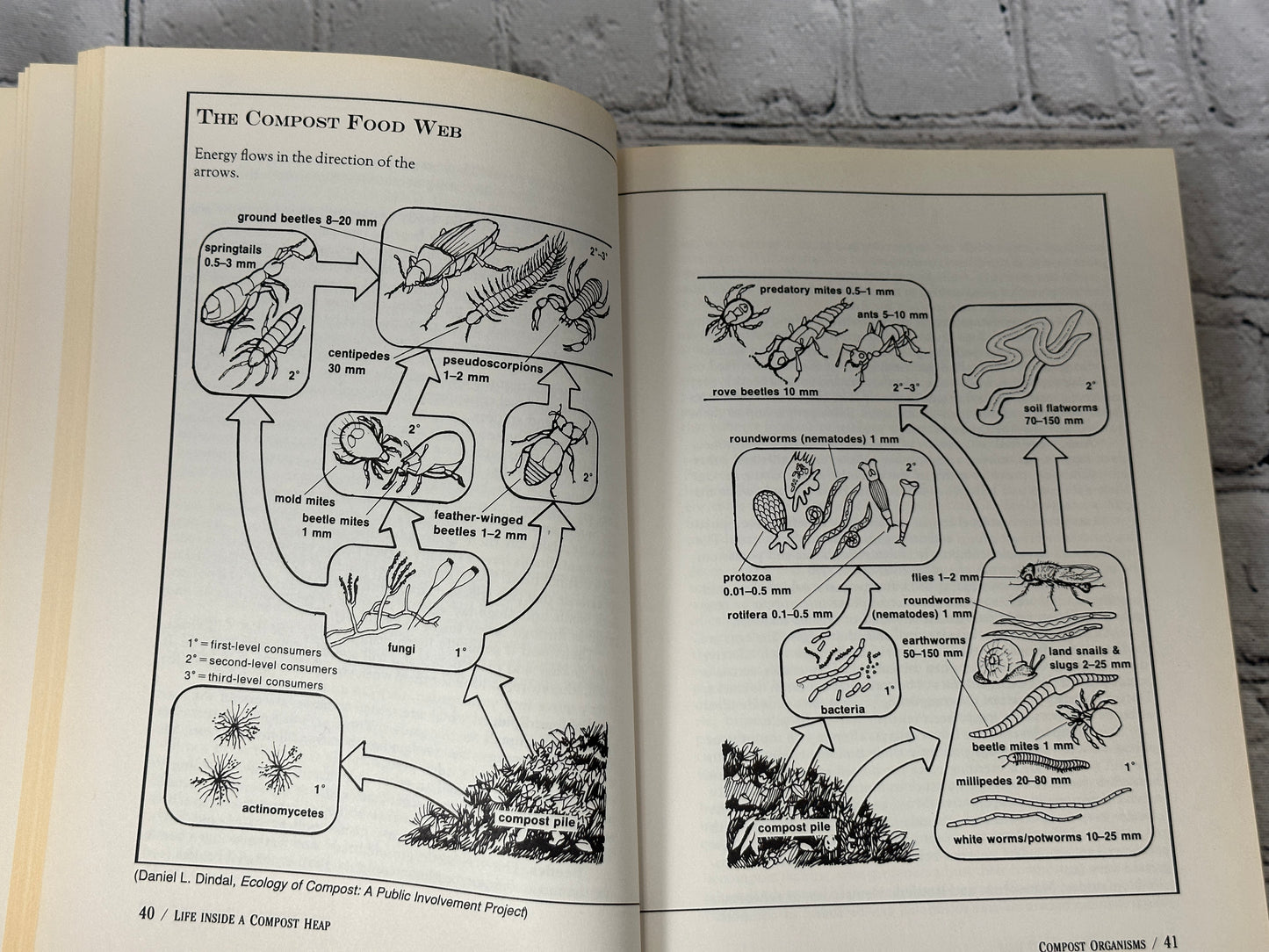 The Rodale Book of Composting: Easy Methods..by Martin & Gershuny [1992]