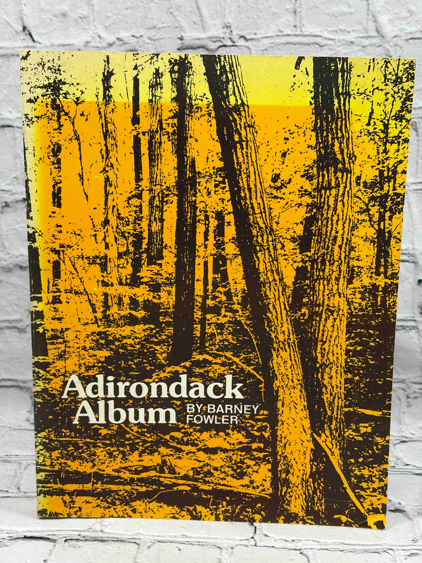 Adirondack Album