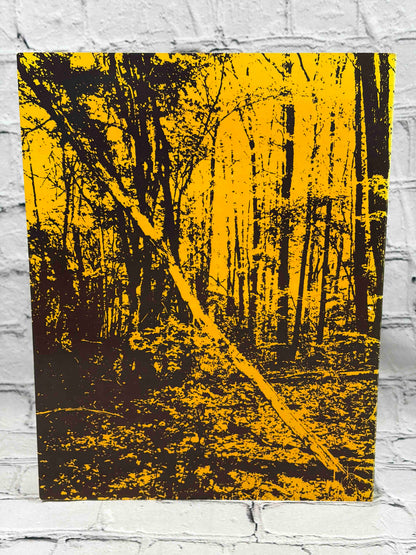 Adirondack Album