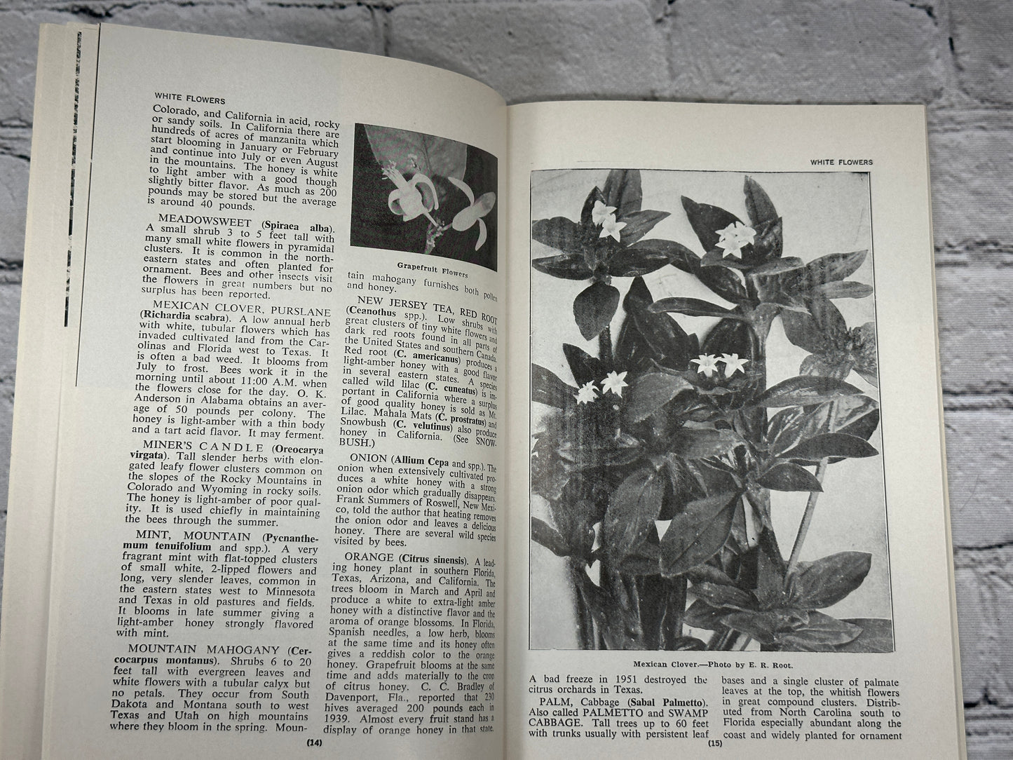 Honey Plants Manual: Practical Field.. by Harvey B. Lovell  [1966 · 2nd Edition]