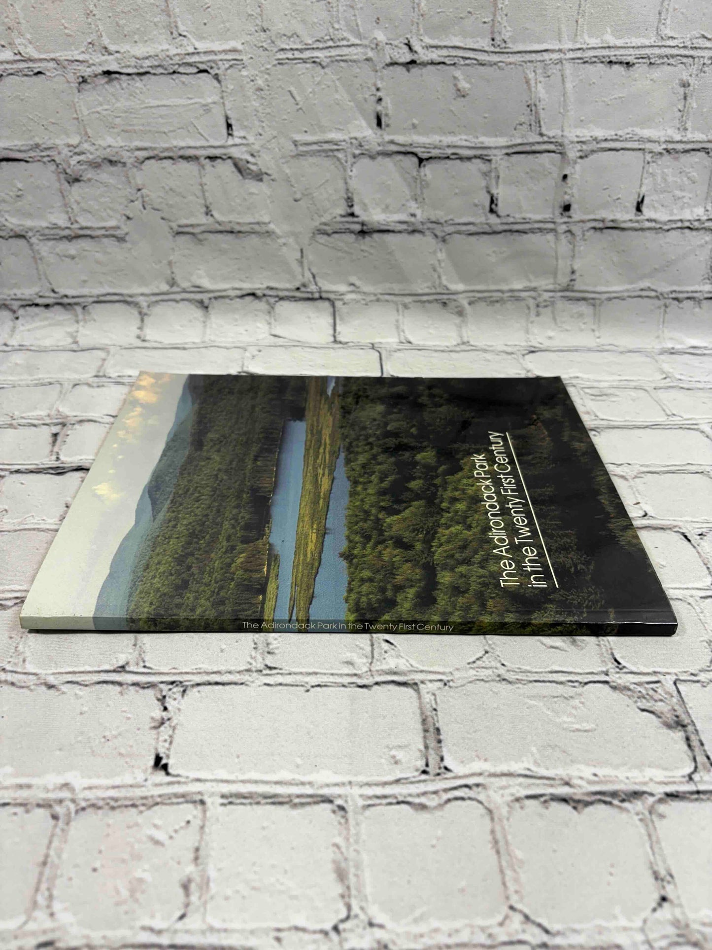 The Adirondack Park in the Twenty First Century w/ Protection Plan Map