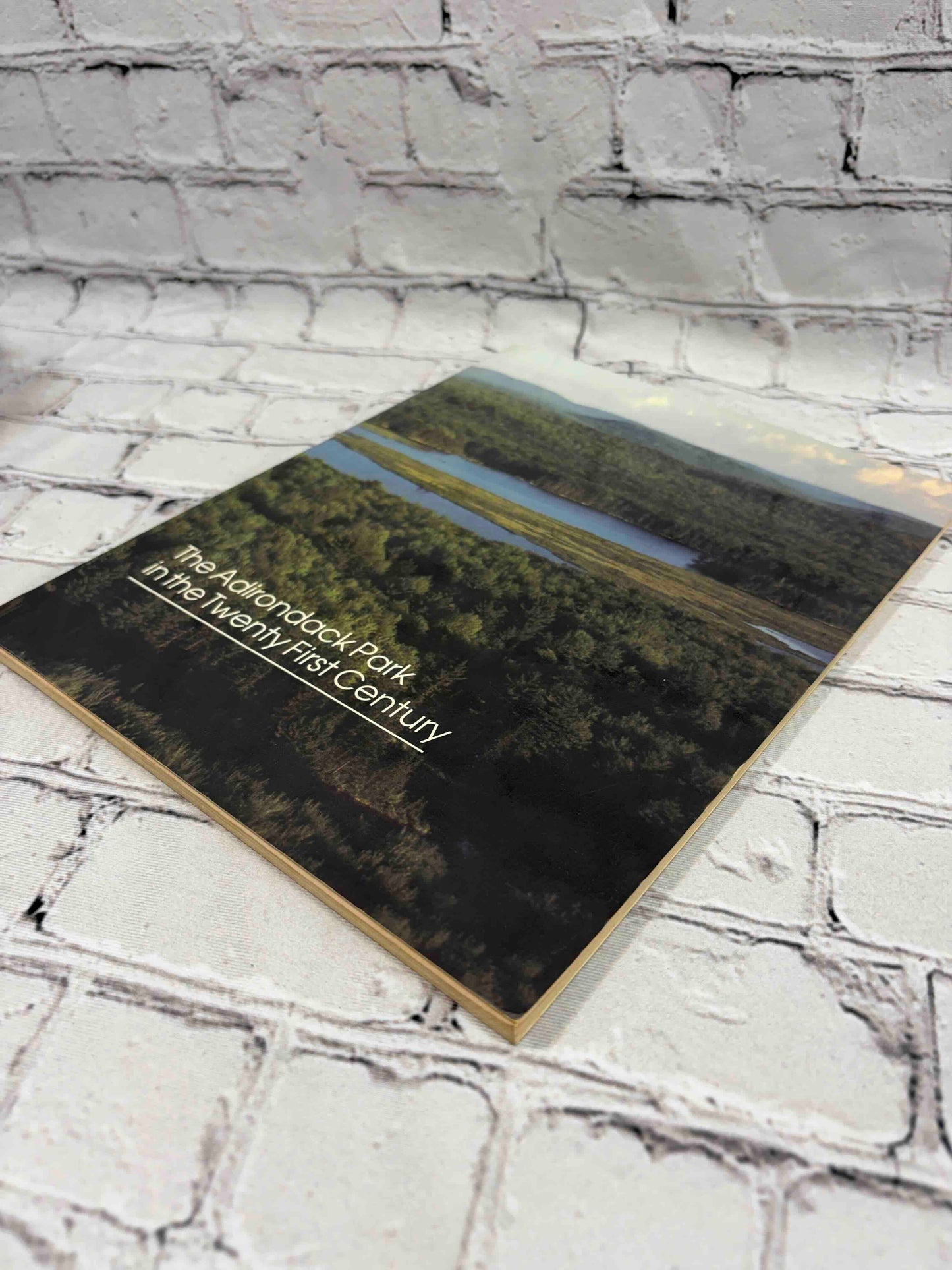 The Adirondack Park in the Twenty First Century w/ Protection Plan Map