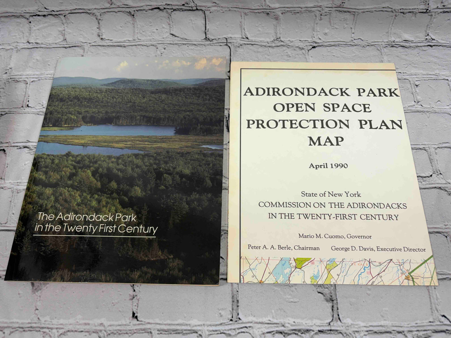 The Adirondack Park in the Twenty First Century w/ Protection Plan Map