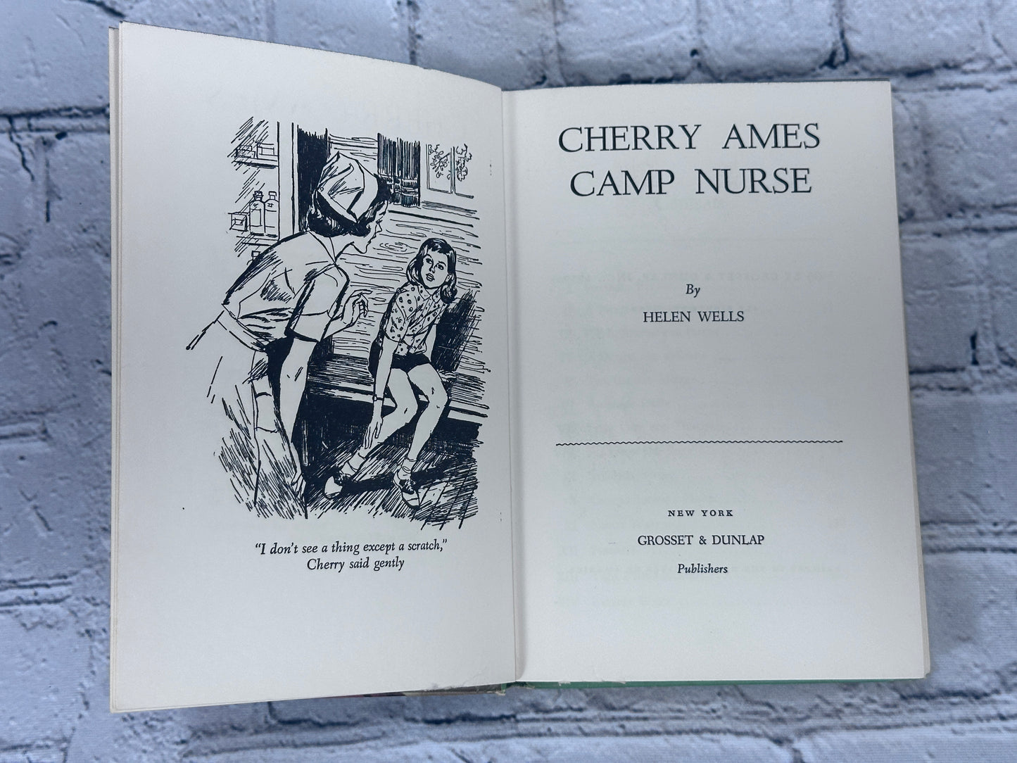 Cherry Ames: Camp Nurse by Helen Wells [#19 · 1957]