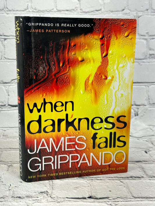 When Darkness Falls by James Grippando [2007]