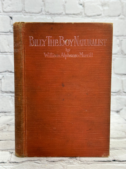 Billy the Boy Naturalist by William Murrill [1918]