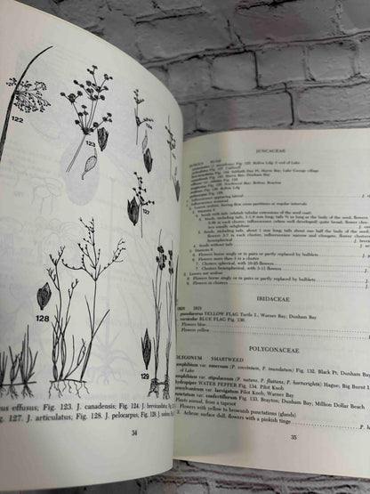Field Guide to the Aquatic Plants of Lake George, New York (Bulletin #426)