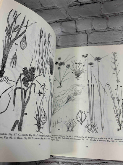 Field Guide to the Aquatic Plants of Lake George, New York (Bulletin #426)