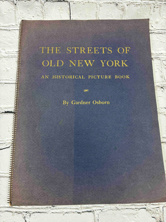 The Streets of New York: An Historical Picture Book