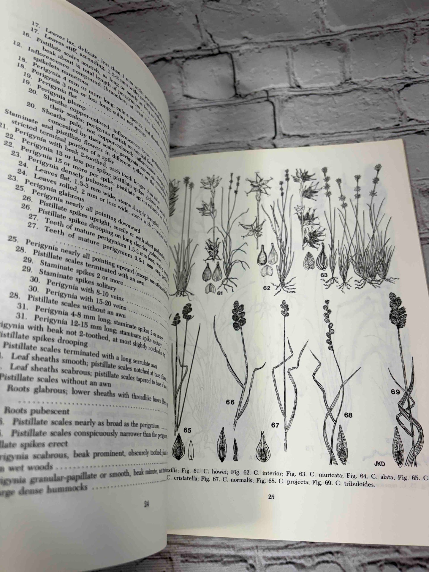 Field Guide to the Aquatic Plants of Lake George, New York (Bulletin #426)