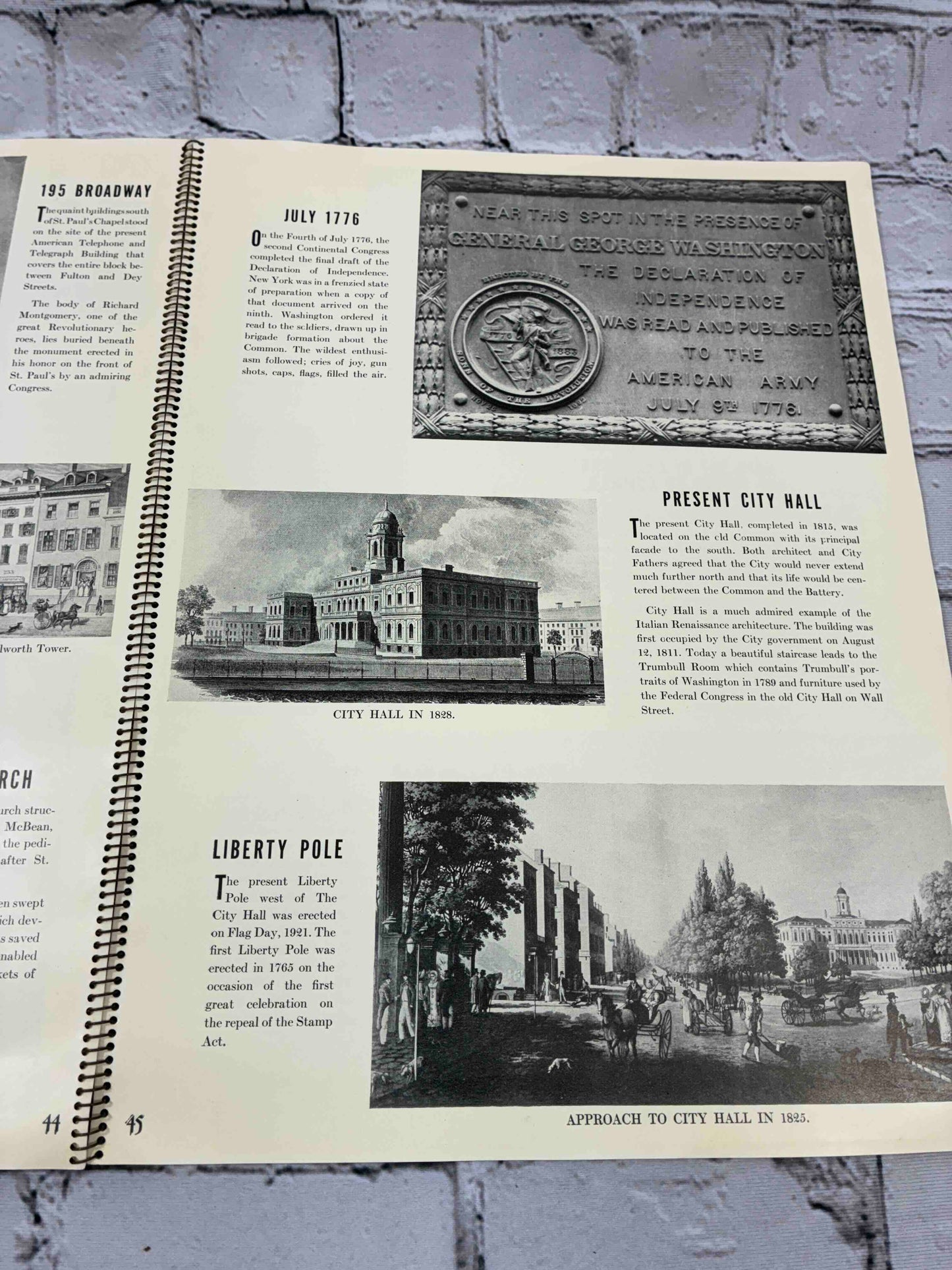 The Streets of New York: An Historical Picture Book