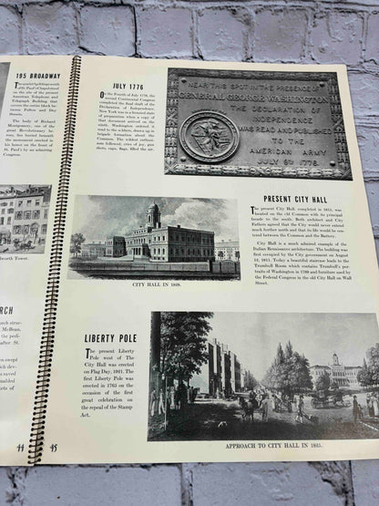 The Streets of New York: An Historical Picture Book